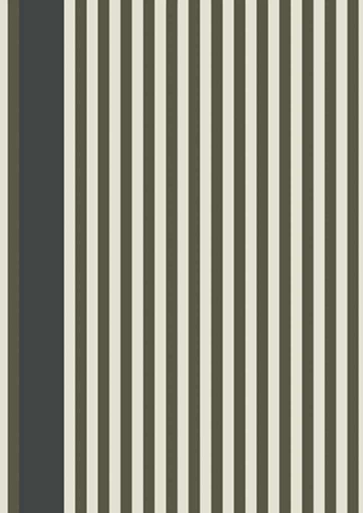 Stripe 6104 by Christopher John Rogers through Farrow & Ball