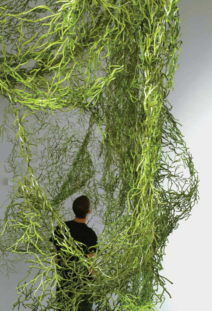 person standing before a screen of long green algae